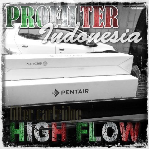 Aqualine Pentair PFI Cartridge Filter Indonesia