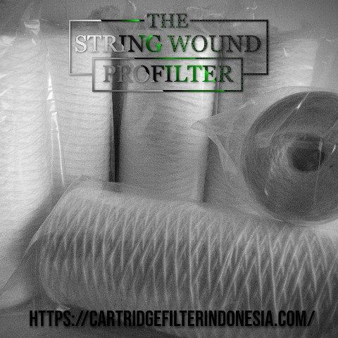 pentek wp bb string wound big blue cartridge filter indonesia