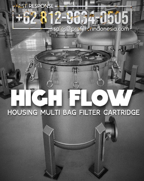 twin pod dual housing multi cartridge filter bag